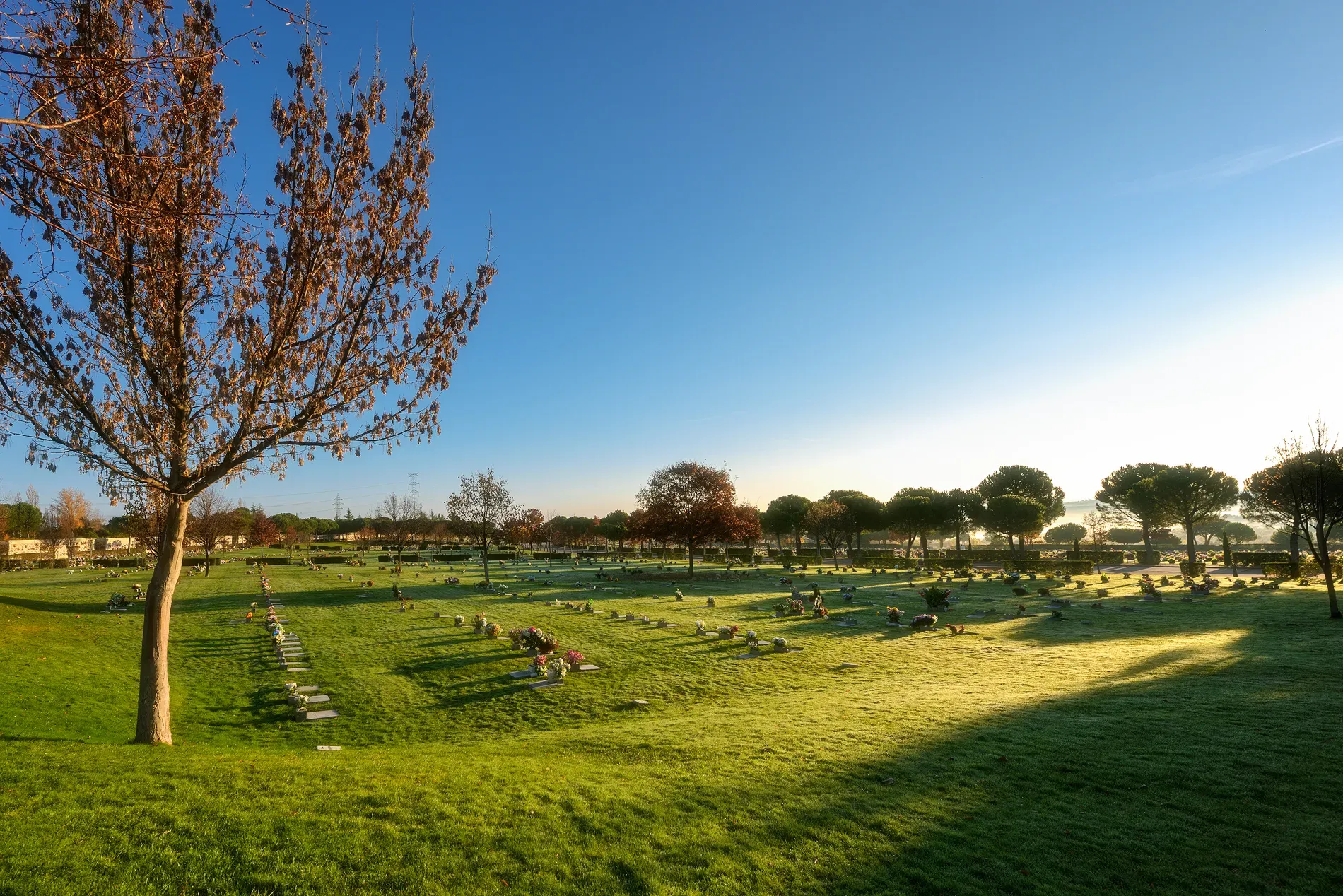 PARQUE CEMENTERIO DE LA PAZ