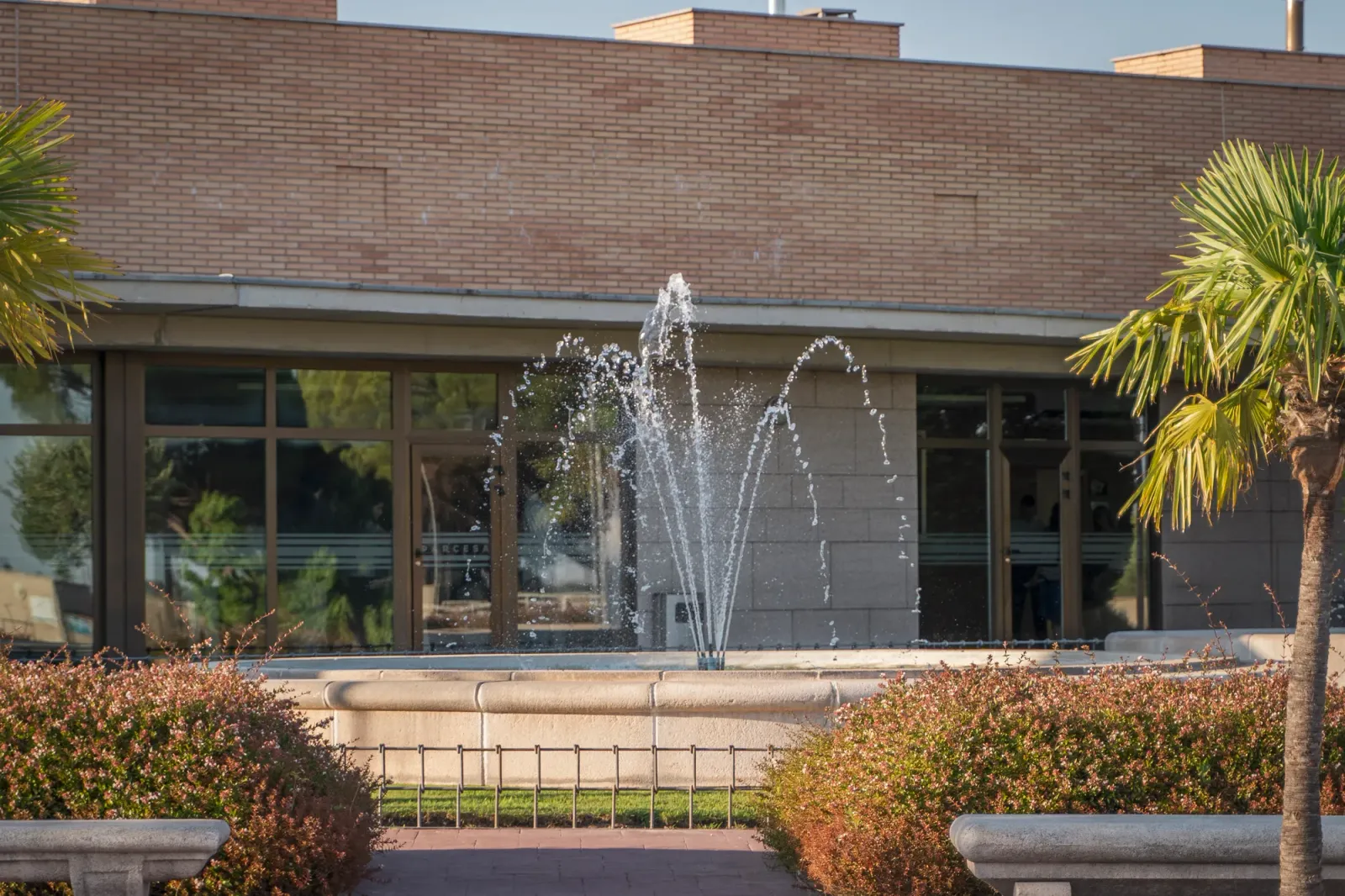 Galería 16